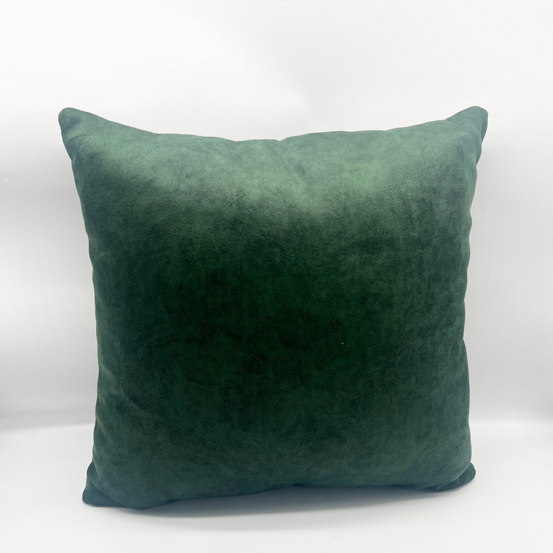 Cushion